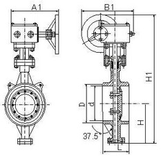焊接式(shi)硬密封蝶閥 焊接(jiē)式硬密封蝶閥