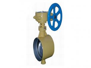 焊接(jiē)保溫蝶閥